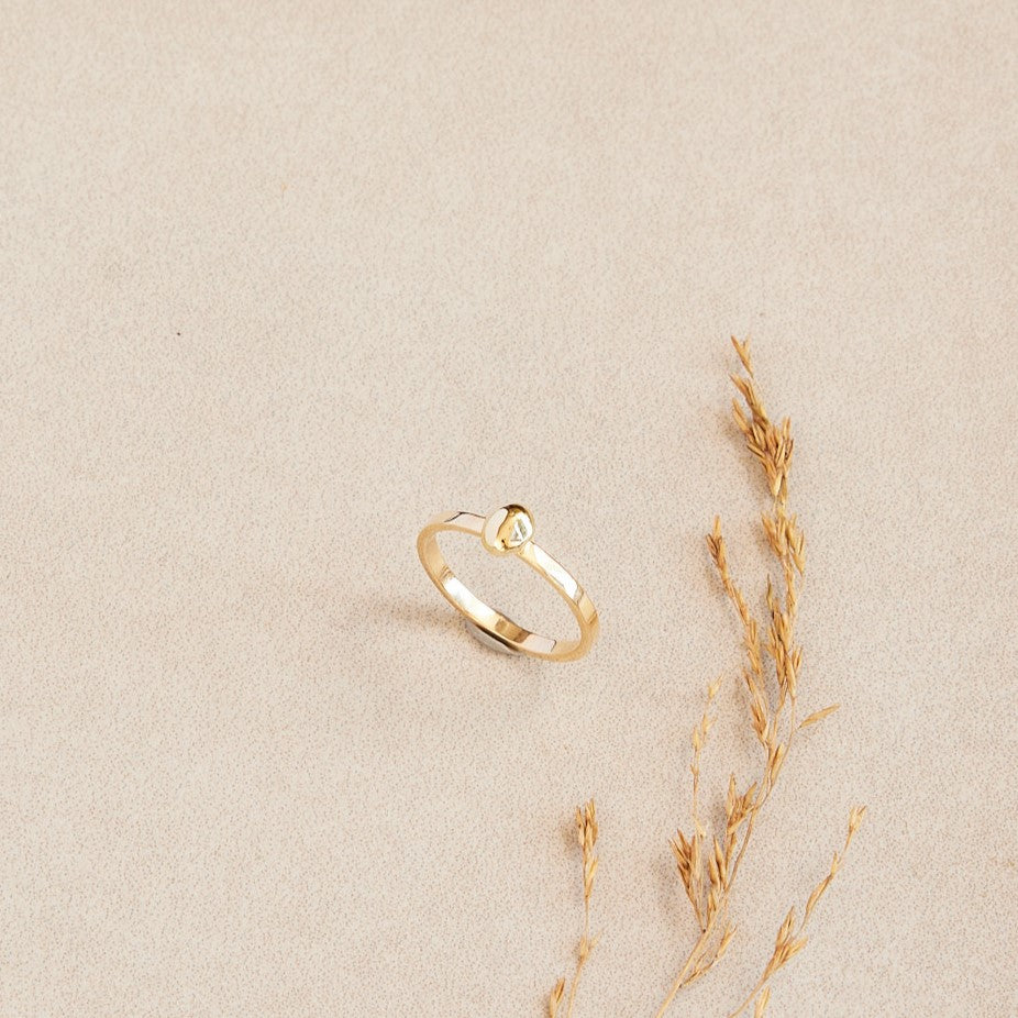 Minimalistische gouden ring met gouden steentje uit collectie Essentials. Op een zandkleurige ondergrond met een klein takje ter decoratie.